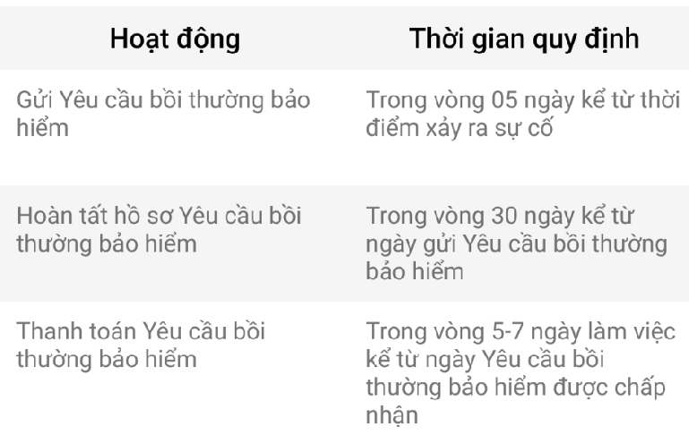 ảnh 12