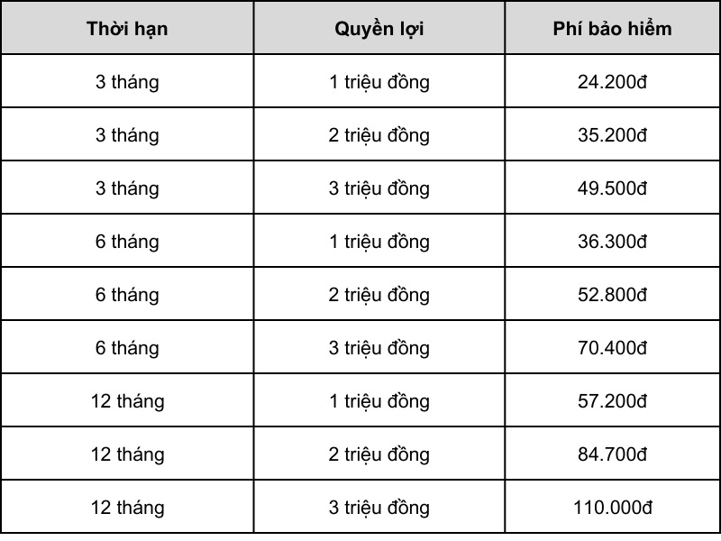 ảnh 19