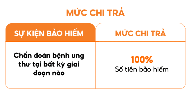 Ảnh 1