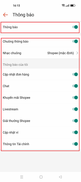 ảnh 13