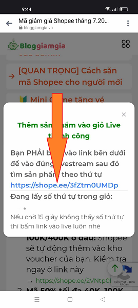 ảnh 5