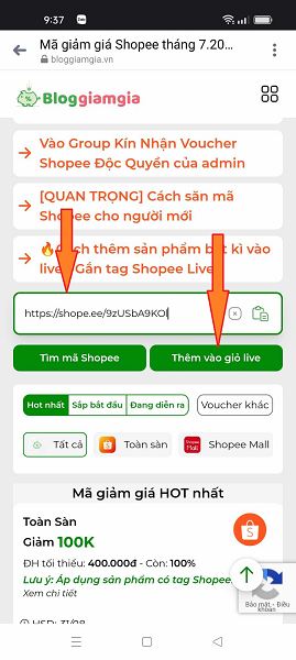 Ảnh 2