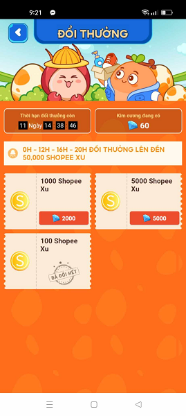 Ảnh 8