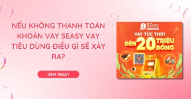 Nếu không thanh toán khoản vay SEasy Vay Tiêu Dùng điều gì sẽ xảy ra